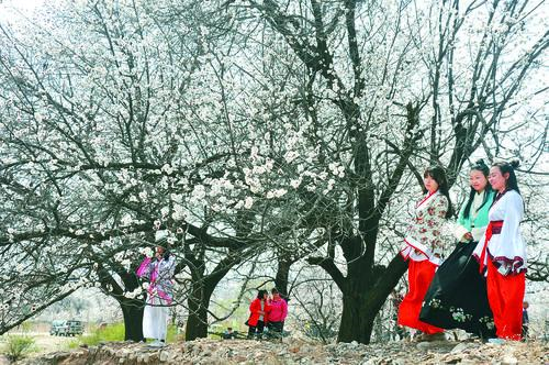 24500足球手机版 实时足球比分 球迷社区